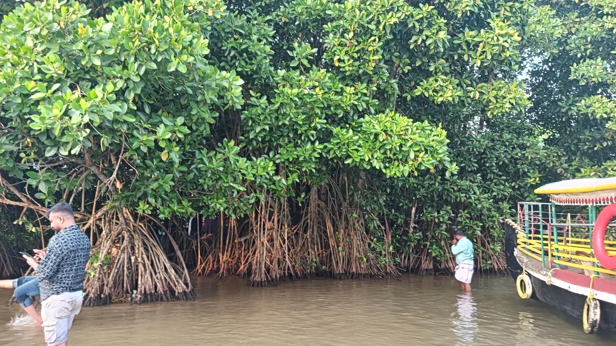 Dilkush Munroe Homestay Kollam Buitenkant foto